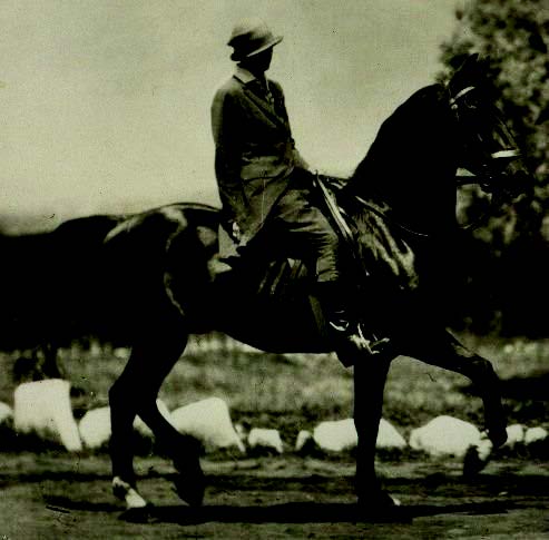Equestrian Life Magazine: 80 Years of PCA