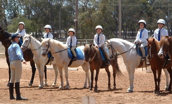 Next Step in the Evolution of Pony Club Coaching