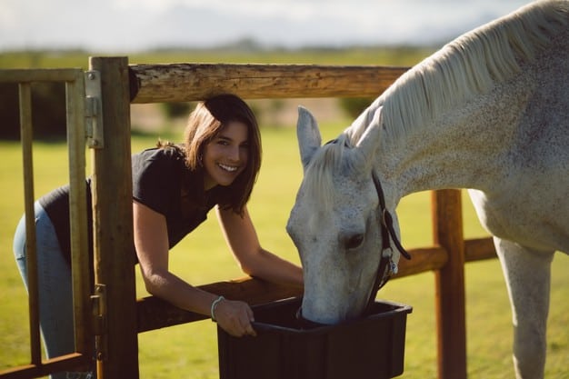 Seven Rules to Make Feeding Your Horse Simple