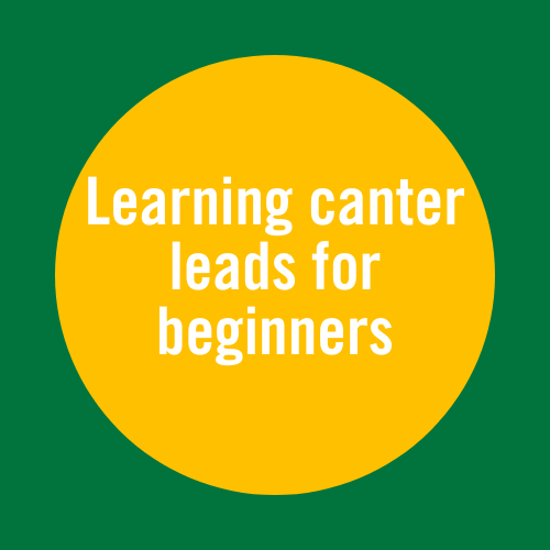 Learning Canter Leads for Beginners