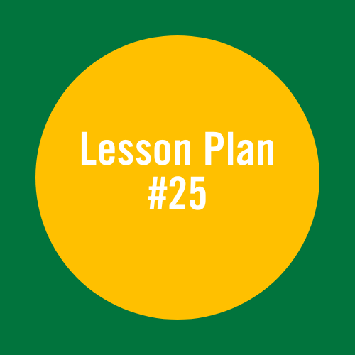 Lesson Plan 25: Rookie agility