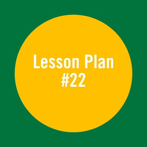 Lesson Plan 22: Giant horse ball fun