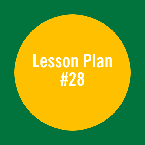 Lesson Plan 28: Saddlery and tack care