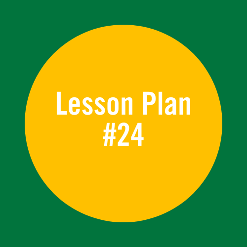 Lesson Plan 24: Rookie showjumping round