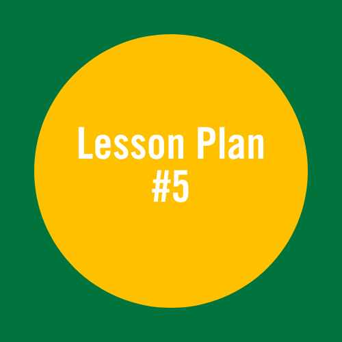 Lesson Plan 5: Punishment, foundation responses and safety.